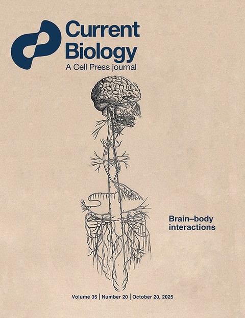 Current Biology cover, volume 35 number 20: Brain&ndash;body interactions.